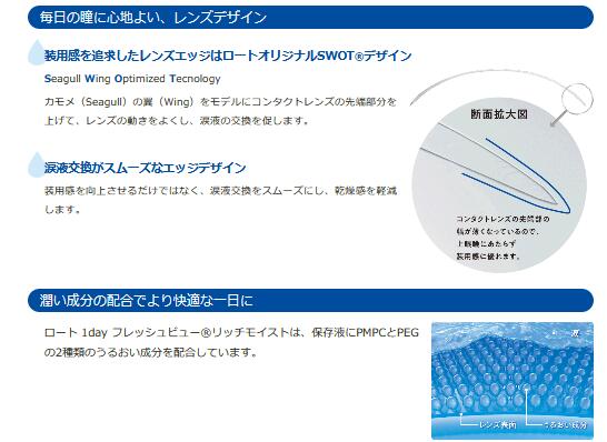 ロート 1day フレッシュビュー リッチモイスト 90枚入り 2箱セット 3ヶ月パック ワンデー コンタクト コンタクトレンズ rohto 1day rich moist fresh view one 国内正規品