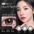 10月26日発売 蜜のレンズ アイシャ リボン・クワイエット ポイズ 新登場